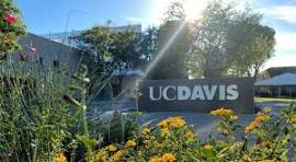 University of California, Davis image